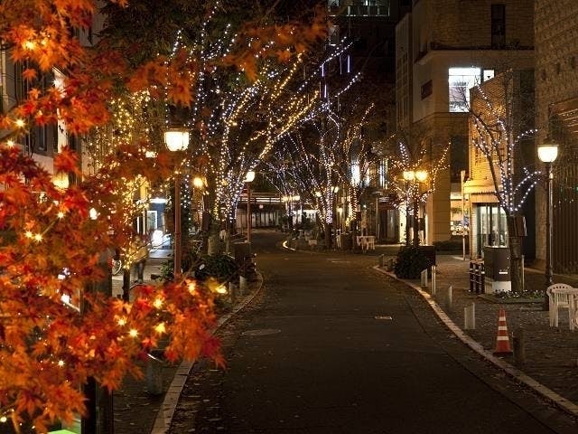 中心市街地イルミネーション 光のページェント In くまもと 熊本市中央区 クリスマススポット 一休 Comレストラン