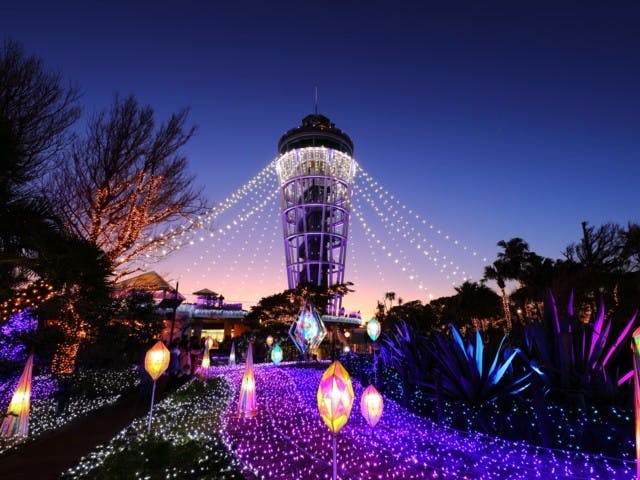 湘南の宝石 21 江の島を彩る光と色の祭典 藤沢市 クリスマススポット 一休 Comレストラン