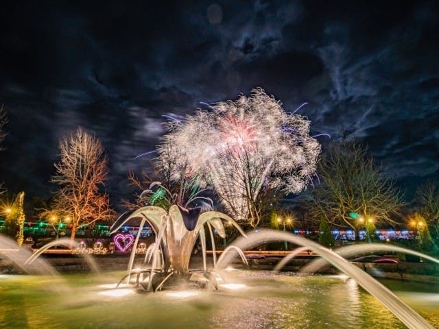 鳥取イルミネーション 人気イルミネーションスポット21 22 一休 Comレストラン