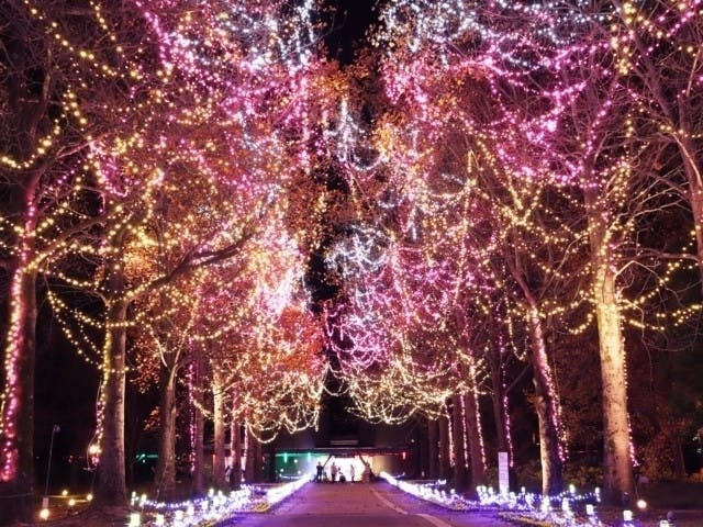 全国イルミネーション 人気イルミネーションスポット21 22 一休 Comレストラン