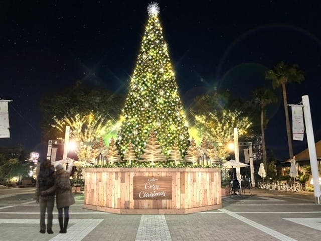 千葉イルミネーション 人気イルミネーションスポット22 23 一休 Comレストラン 千葉イルミネーション 人気イルミネーションスポット22 23 一休 Comレストラン