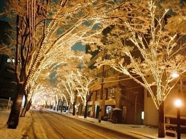 新潟イルミネーション 人気イルミネーションスポット22 23 一休 Comレストラン