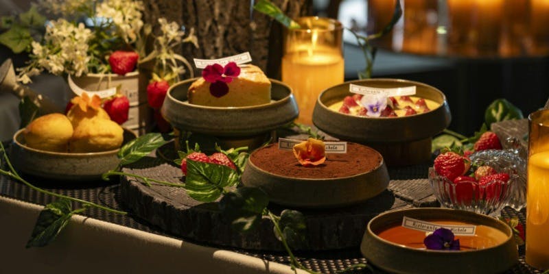 【Cena B】Wメインと選べるデザート全5品