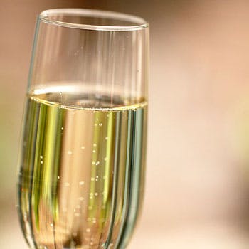 �T���E�~�P�[�� �z�e�������g�� ���E�X�[�� �M���U�X