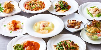 【美味菜ランチA】ふかひれスープや選べるメイン料理全7品 - 桂林／ホテルメトロポリタン