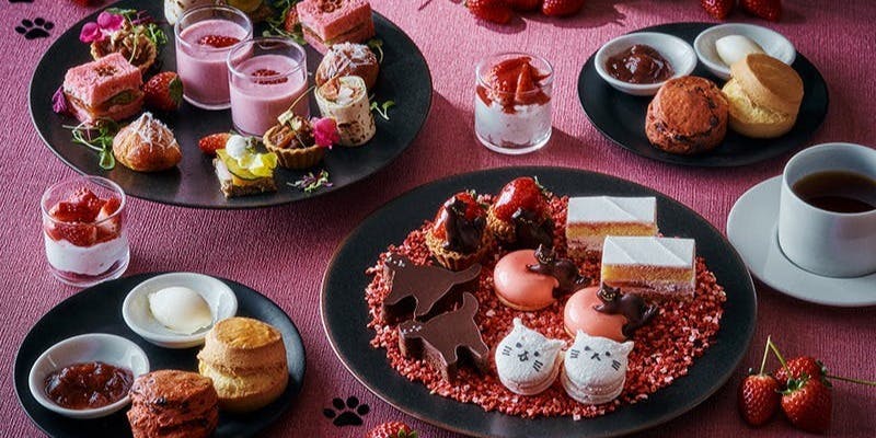 ストロベリー＆キャット アフタヌーンティー（2月・3月）