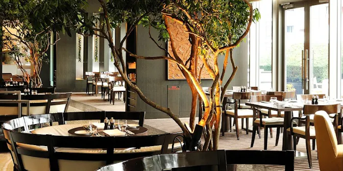 六本木ヒルズ周辺グルメ おしゃれで美味しい レストランランキング 30選 一休 Comレストラン 六本木ヒルズ周辺グルメ おしゃれで美味しい レストランランキング 30選 一休 Comレストラン