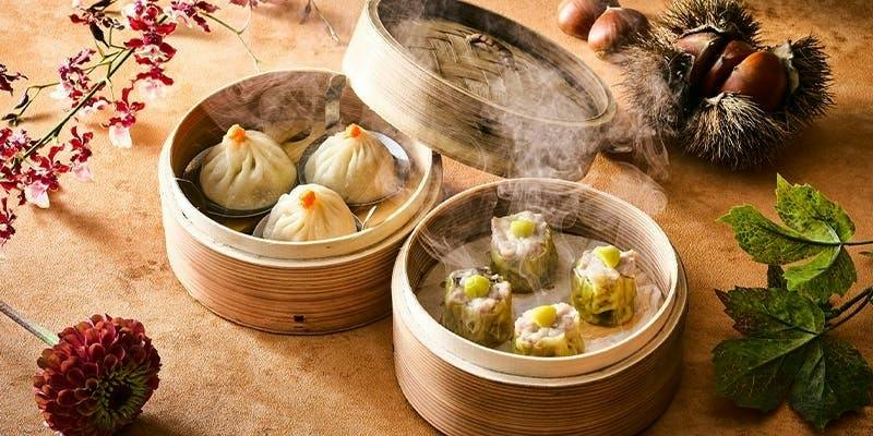 �`���C�i���[���^�O�����h �n�C�A�b�g ����