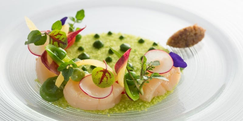 11月～【ランチA】始まりの一皿、前菜、季節のポタージュ、メイン、デザート全5品