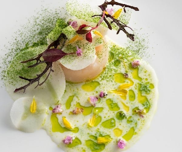 クリスマス ディナー レ セゾン 帝国ホテル 大阪 Okaimonoモール レストラン クリスマス ディナー レ セゾン 帝国ホテル 大阪 Okaimonoモール レストラン