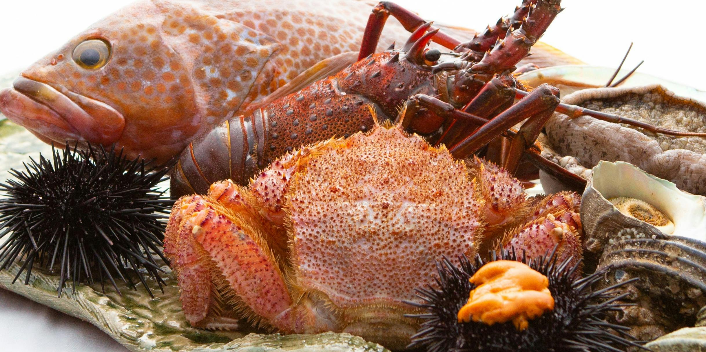 中国料理 桃花林（トウカリン）