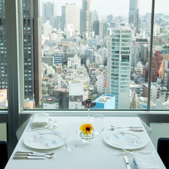 �u���[�Y ���F�[���^�U�E�v�����X �p�[�N�^���[���� 33F