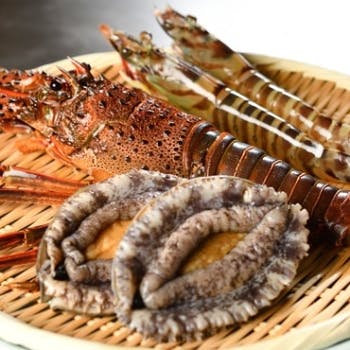 �X�e�[�L�n�E�X �j�i�Ō����j�^�U�E�v�����X �p�[�N�^���[����