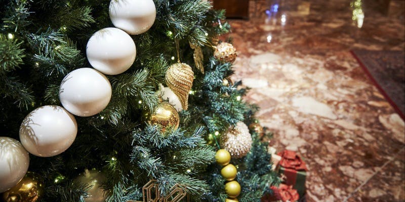 【Xmas2025】クリスマスディナー／ブオン ナターレ 