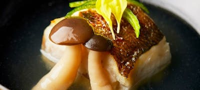 21年 最新 山王日枝神社周辺の美味しいディナー23店 夜ご飯におすすめな人気店 一休 Comレストラン 21年 最新 山王日枝神社周辺の美味しいディナー23店 夜ご飯におすすめな人気店 一休 Comレストラン