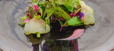 21年 最新 法政大学 市ヶ谷キャンパス 周辺の美味しいディナー12店 夜ご飯におすすめな人気店 一休 Comレストラン 21年 最新 法政大学 市ヶ谷キャンパス 周辺の美味しいディナー12店 夜ご飯におすすめな人気店 一休 Comレストラン