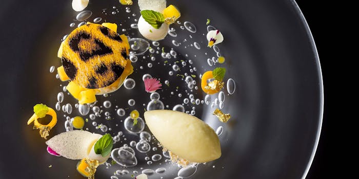 ガストロノミー ジョエル ロブション 恵比寿ガーデンプレイス フランス料理 一休 Comレストラン ガストロノミー ジョエル ロブション 恵比寿ガーデンプレイス フランス料理 一休 Comレストラン