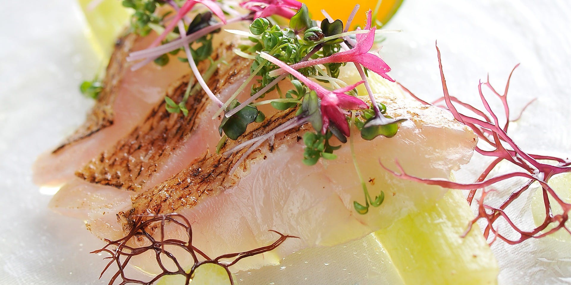 Alte Liebe - 画像5