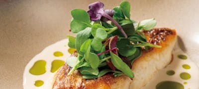 21年 最新 イクスピアリ周辺の美味しいディナー9店 夜ご飯におすすめな人気店 一休 Comレストラン 21年 最新 イクスピアリ周辺の美味しいディナー9店 夜ご飯におすすめな人気店 一休 Comレストラン