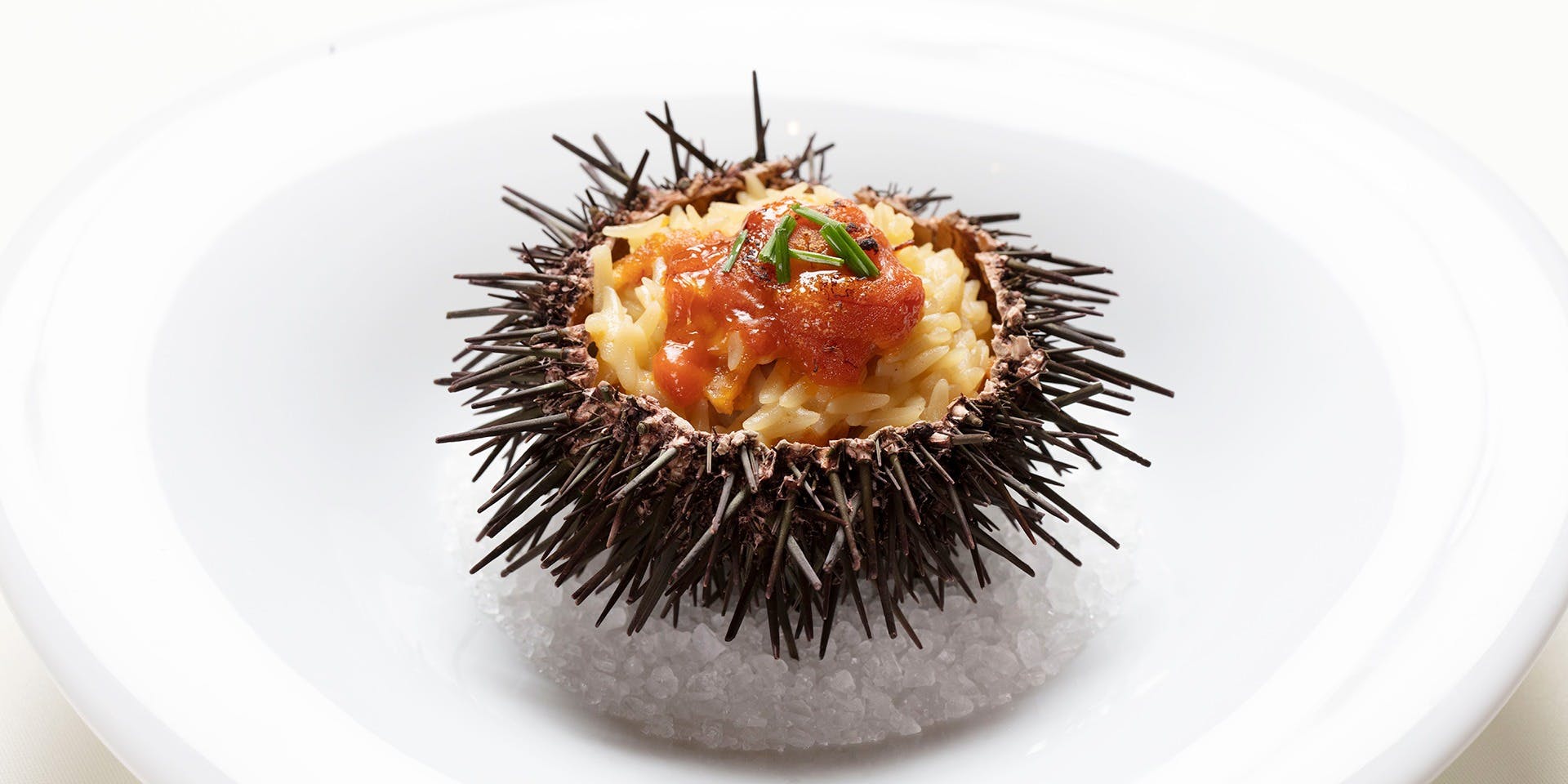 青山 エリュシオンハウス（AOYAMA ELYSION HOUSE）