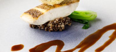 新橋ランチ おすすめ 絶品お昼ごはん23選 一休 Comレストラン 新橋ランチ おすすめ 絶品お昼ごはん23選 一休 Comレストラン