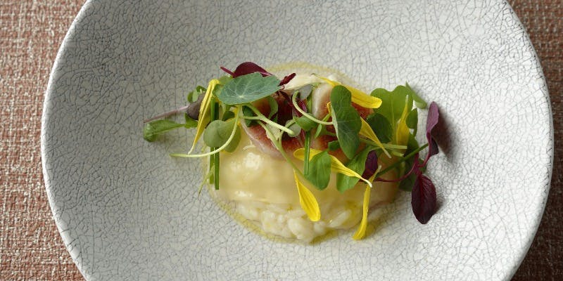 【Tasting Course】本格イタリア料理コース5品