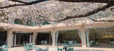 Ch7 Joe Hxfyvm Ch7 Joe Hxfyvm