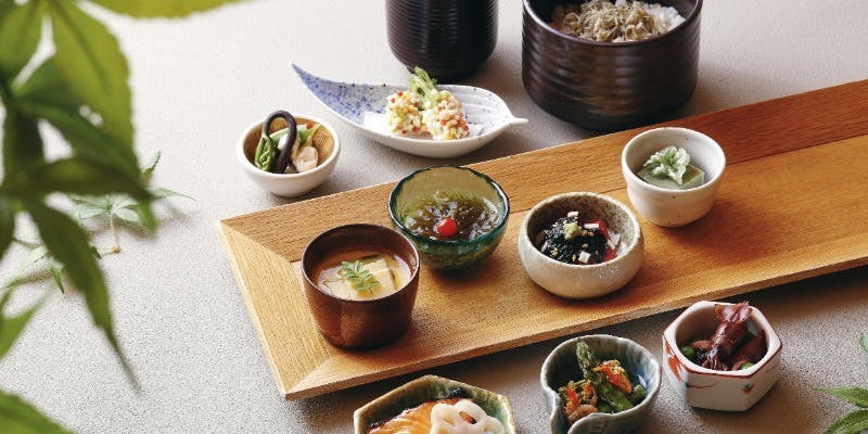 軽食ランチやお一人様でも　二十四節気の9種小鉢御膳＋乾杯ワンドリンク
