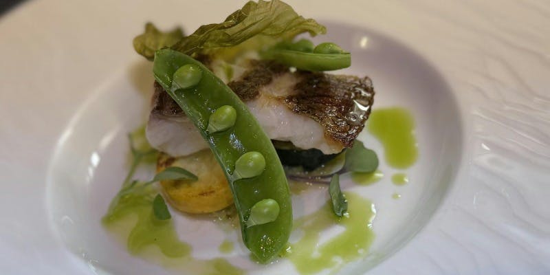 【魚介とステーキのランチコース】本日の魚介、国産牛フィレなど全7品＋ワンドリンク