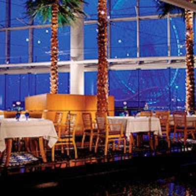 パームツリーに囲まれてリゾート気分を満喫