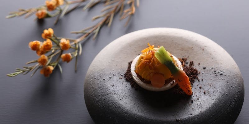 【2026年1月2日～12日限定】新春特別ランチコース 全8品 － Menu du Nouvel An －