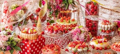 東京 ケーキバイキング ケーキ食べ放題ランチ ティー特集22 一休 Comレストラン 東京 ケーキバイキング ケーキ食べ放題ランチ ティー特集22 一休 Comレストラン