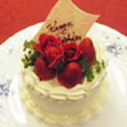 o_100422p10000067