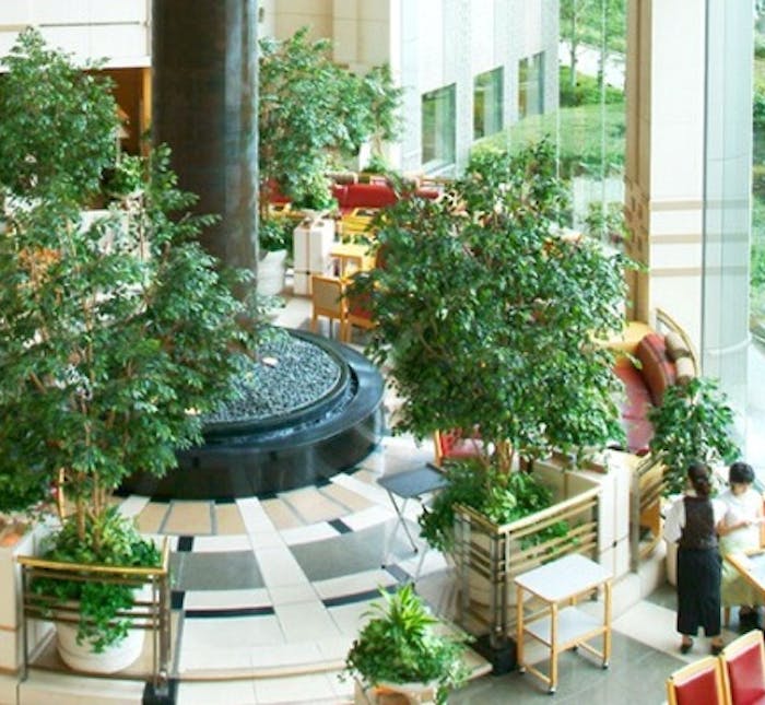 天満駅周辺グルメ おしゃれで美味しい レストランランキング 30選 一休 Comレストラン