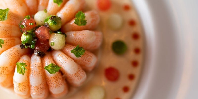 【MENU DEGUSTATION】シェフこだわりの冬季限定スペシャルコース（予約・数量限定）