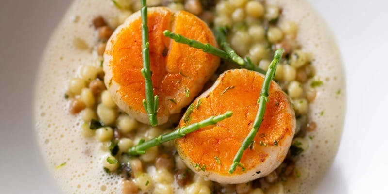 ジョエル・ロブション　フランス料理　中古 ジョエル・ロブション氏の集大成、感動のフレンチがここに