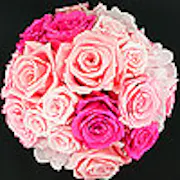 o-a0100_000012_m.jpg