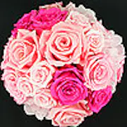 o-a0100_000012_m.jpg