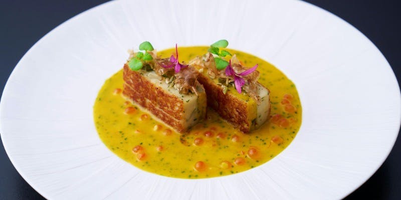 【1日15組様限定】シェフのおすすめ 4品ランチコース＋お好きなドリンク1杯