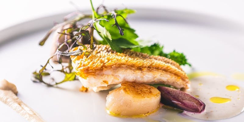 【年末年始ディナーコース】12/29～1/6 限定（ハーフコース）