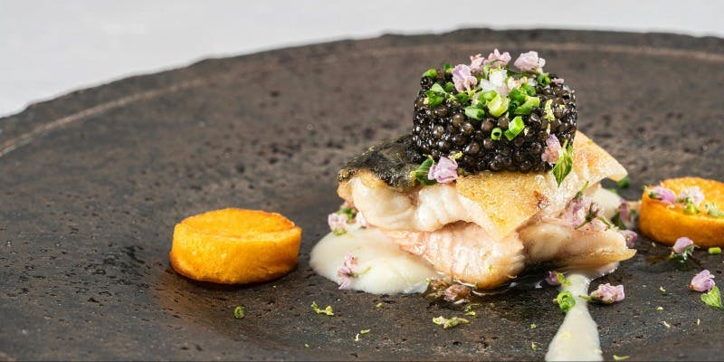 【ゴチになります！】放映記念プレミアムコース＋【半個室確約】シャンパンボトル付き（リクエスト予約）