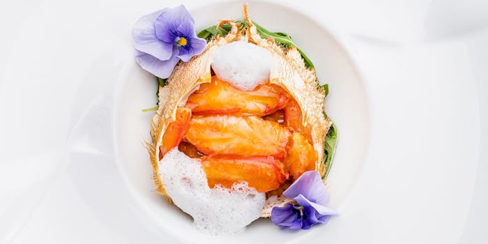 お台場 湾岸エリアのランチにおすすめレストラントップ17 一休 Comレストラン お台場 湾岸エリアのランチにおすすめレストラントップ17 一休 Comレストラン