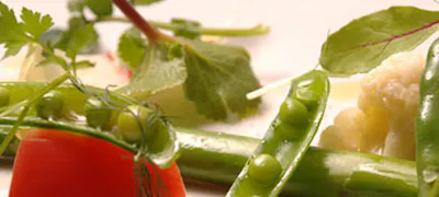 22年 最新 北海道の美味しいディナー22店 夜ご飯におすすめな人気店 一休 Comレストラン 22年 最新 北海道の美味しいディナー22店 夜ご飯におすすめな人気店 一休 Comレストラン