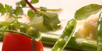 リストランテ カノフィーロ（RISTORANTE CANOFILO【旧店名】リストランテ テルツィーナ）