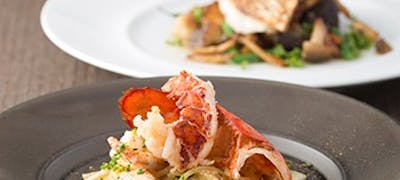 21年 最新 名古屋の美味しいディナー30店 夜ご飯におすすめな人気店 一休 Comレストラン 21年 最新 名古屋の美味しいディナー30店 夜ご飯におすすめな人気店 一休 Comレストラン