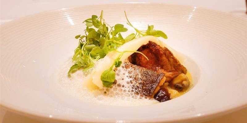 【MENU SPECIAL】ゆっくりと堪能いただく拘りのフルコース　全7品