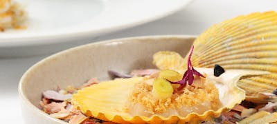 博多座周辺ランチ21 おすすめ 絶品お昼ごはん22選 一休 Comレストラン 博多座周辺ランチ21 おすすめ 絶品お昼ごはん22選 一休 Comレストラン