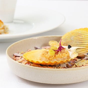 薬院 平尾 高砂の絶品ランチ45選 コスパ抜群のおしゃれなレストランをご紹介 Okaimonoモール レストラン 薬院 平尾 高砂の絶品ランチ45選 コスパ抜群のおしゃれなレストランをご紹介 Okaimonoモール レストラン