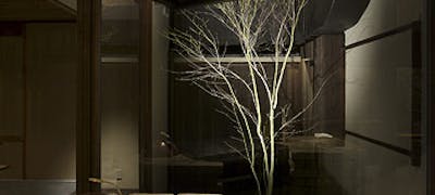 21年 最新 円山公園の美味しいディナー27店 夜ご飯におすすめな人気店 一休 Comレストラン 21年 最新 円山公園の美味しいディナー27店 夜ご飯におすすめな人気店 一休 Comレストラン