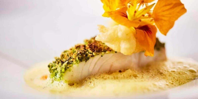 【時季の食材や魚のメイン】全7品